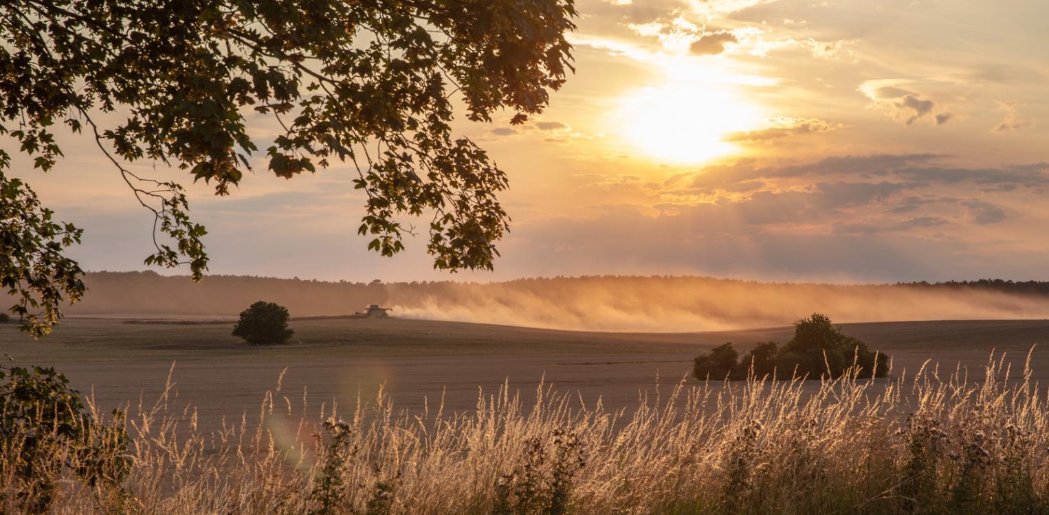 Landwirtschaft in Märkisch-Oderland © Andreas Prinz Fotografie