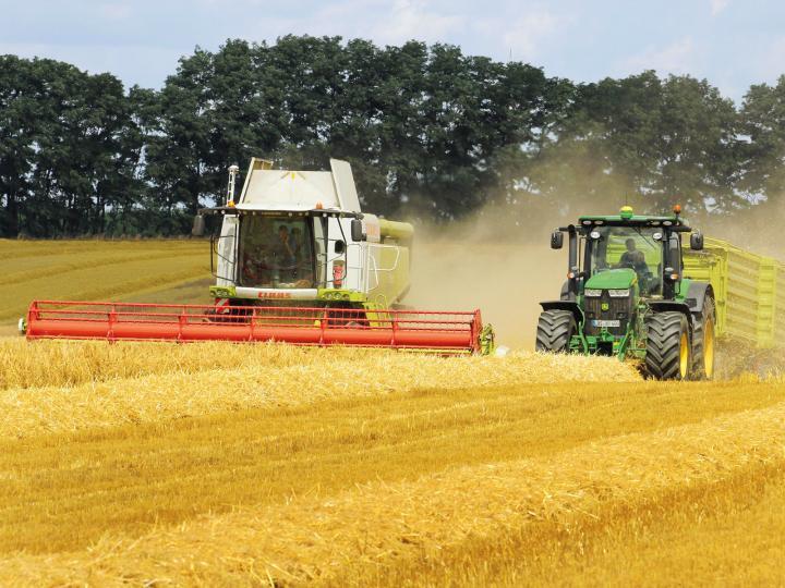 Combine harvester at harvest © Landkreis Oder-Spree/Mario Behnke