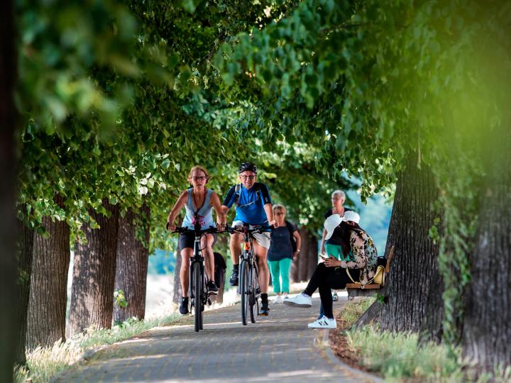 Cyclists in summer © Stadtmarketing Frankfurt (Oder)