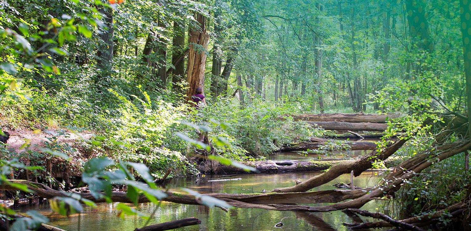 Märkische Schweiz Nature Park © Seenland Oder-Spree/Florian Läufer