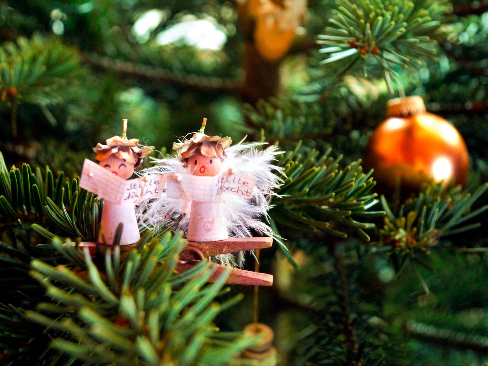 Weihnachstengel als Schmuck am Weihnachtsbaum © Andreas Arzt/Pixabay