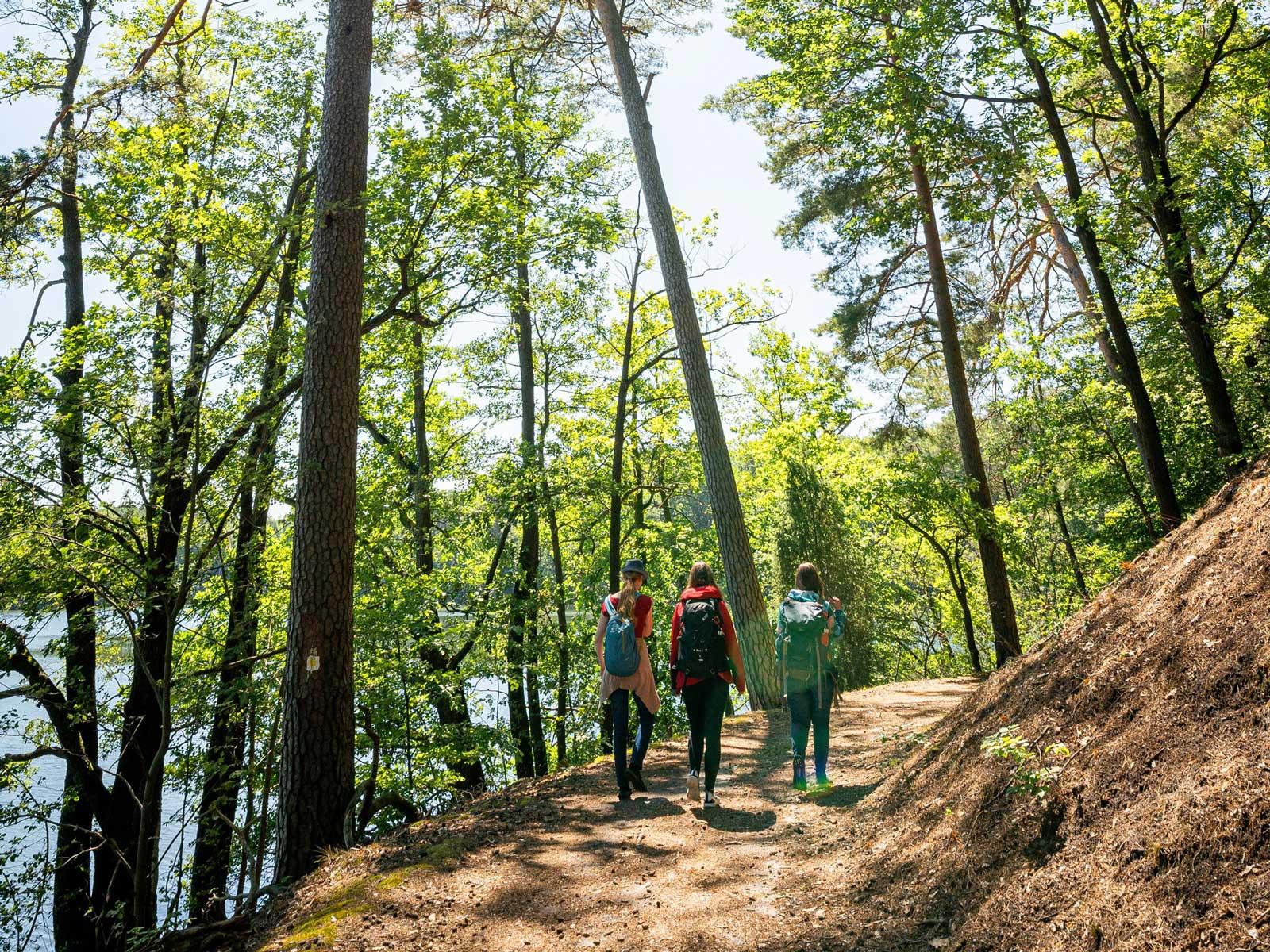 The Schlaubetal hiking trail in the Oder-Spree Lakeland © Seenland Oder-Spree/Florian Läufer