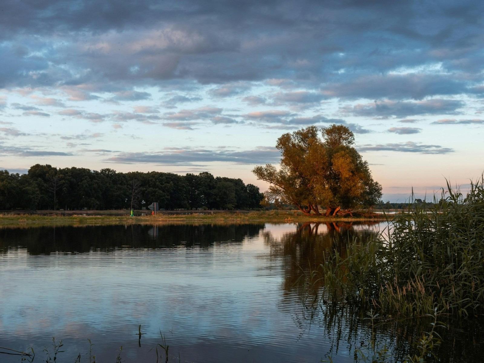 Wasserlauf