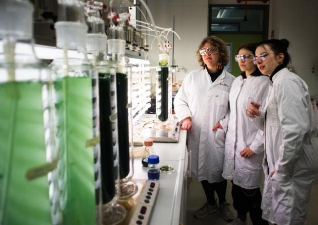 Studierende im Algenlabor der Biotechnologie © BTU Cottbus-Senftenberg