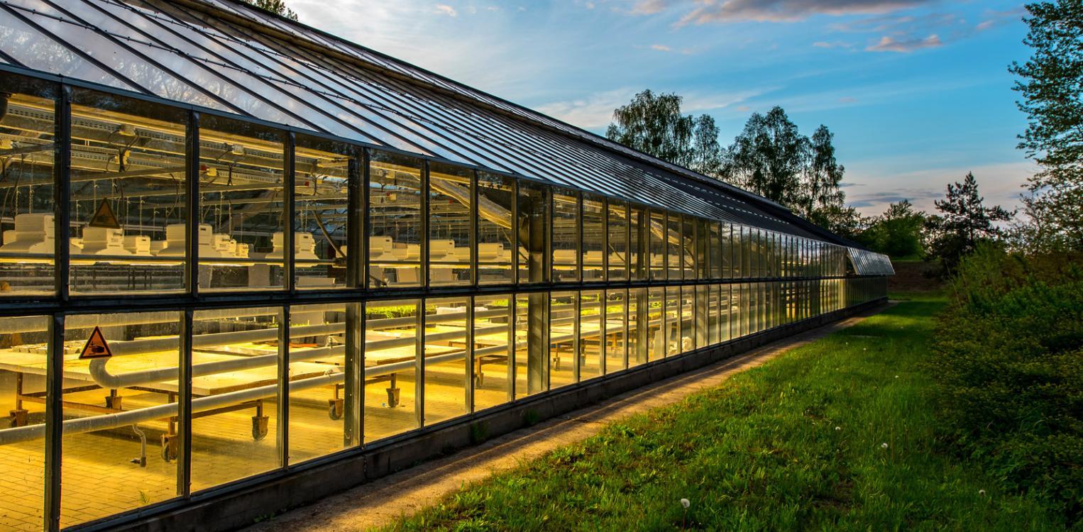 Exterior view of a greenhouse © Christian Haecker/ZALF