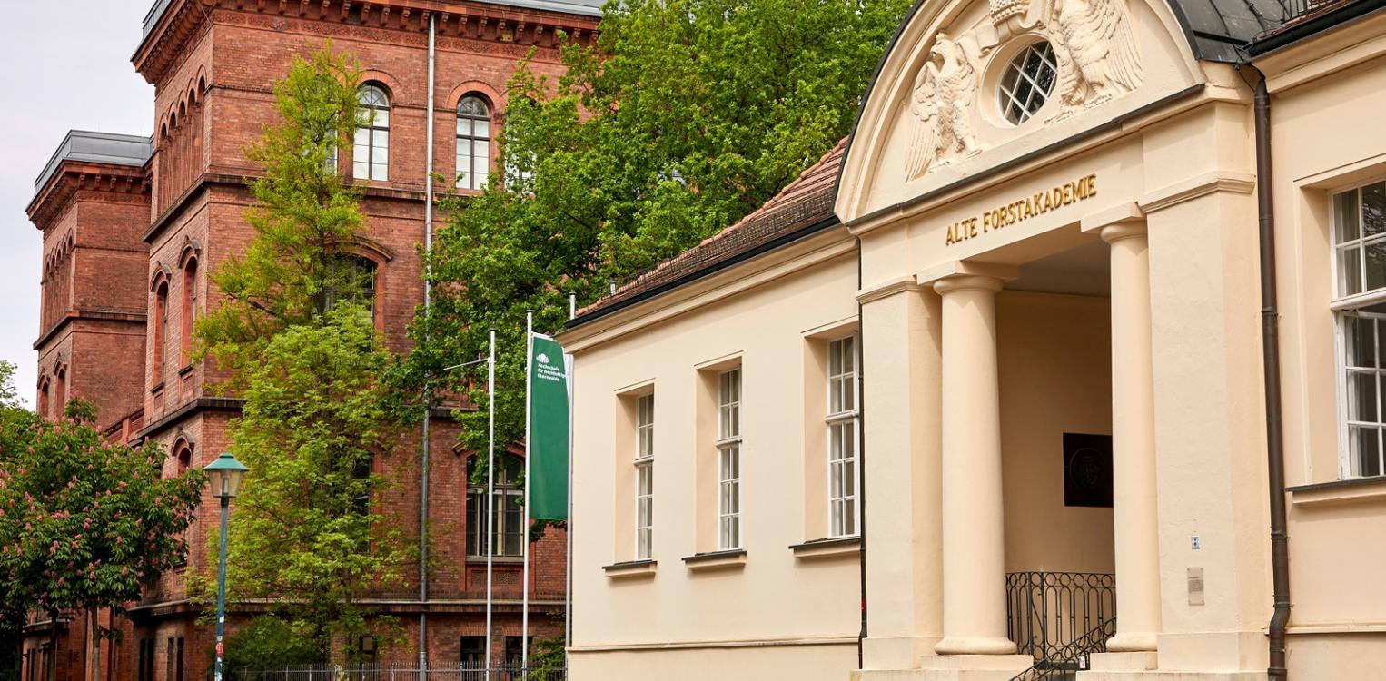 Old and New Forestry Academy at the HNEE city campus © HNEE/Michael Handelmann