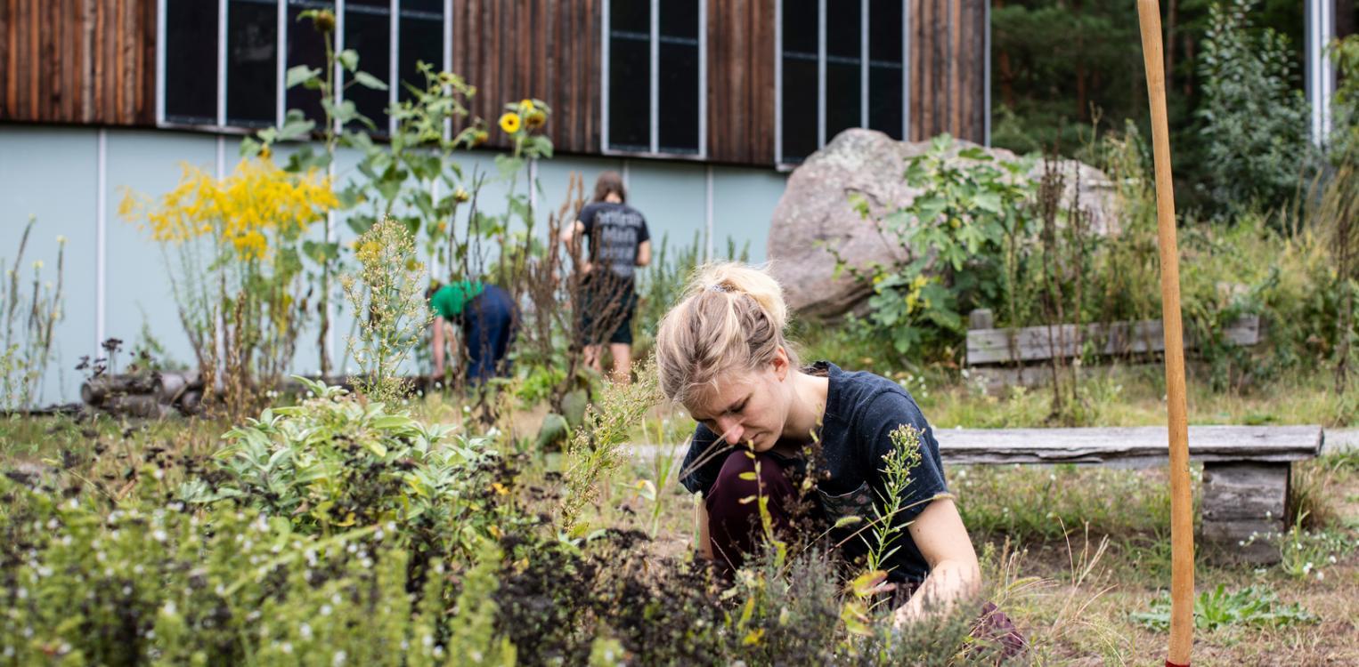 Student initiative Campus Garden of the HNEE © HNEE/Florian Reischauer