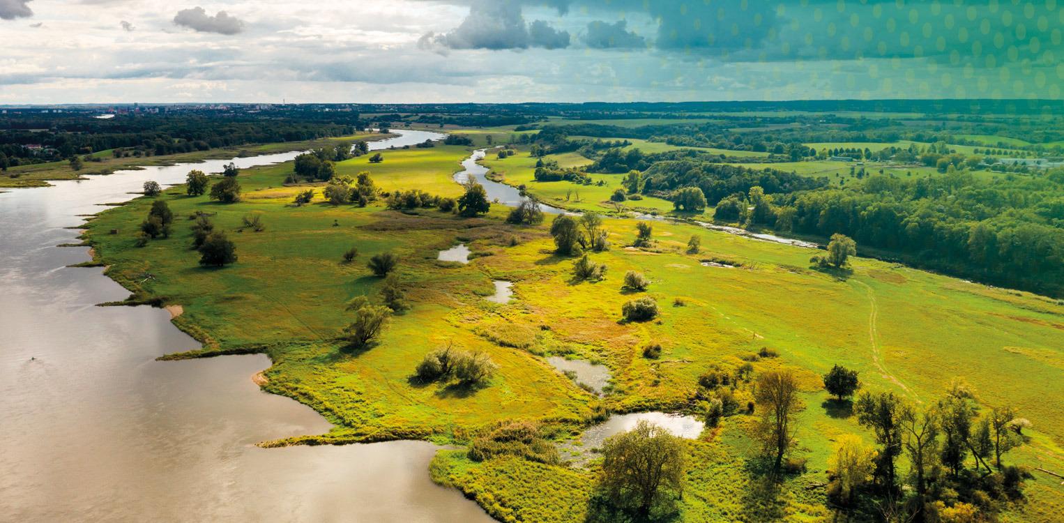 Oder-Landschaft Lebus © Jana Schönknecht/AdobeStock