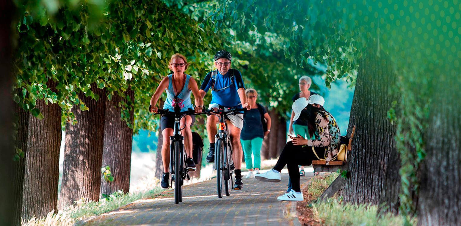 Cycling on the Oder-Neisse Cycle Path © Stadtmarketing Frankfurt (Oder)