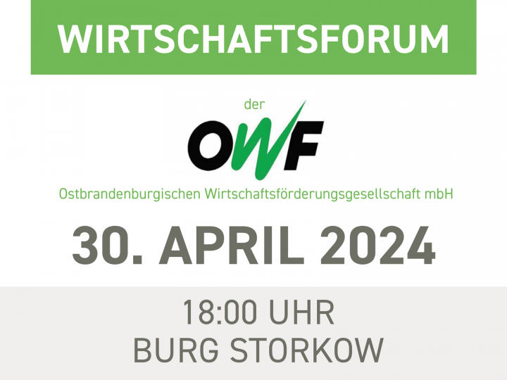 Teaser zum Wirtschaftsforum 2024