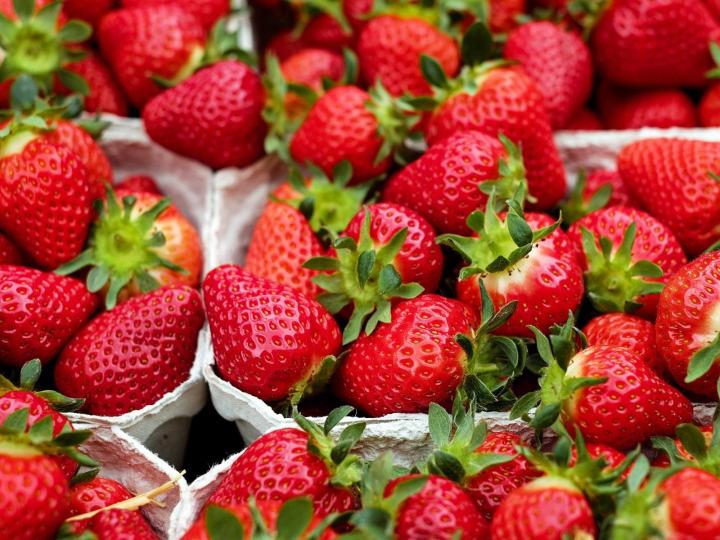 Bio-Erdbeeren