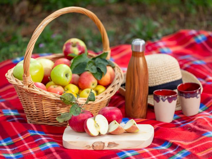 Picknick mit regionalen Produkten © Seenland Oder-Spree/Florian Läufer