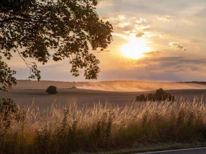 Landwirtschaft in Märkisch-Oderland © Andreas Prinz Fotografie
