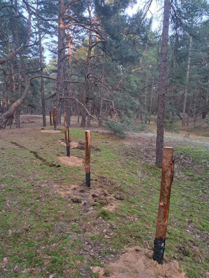 Projekt "Nature of One"