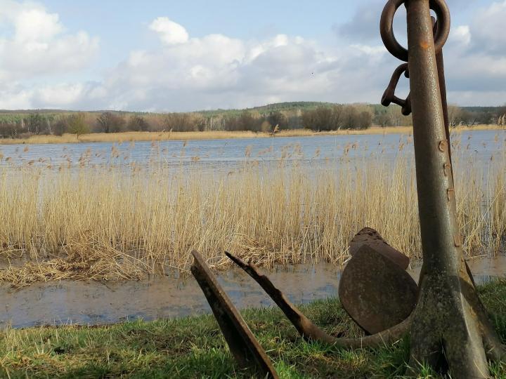 Z Oderbusem przez Oderbruch © Bad Freienwalde Tourismus GmbH